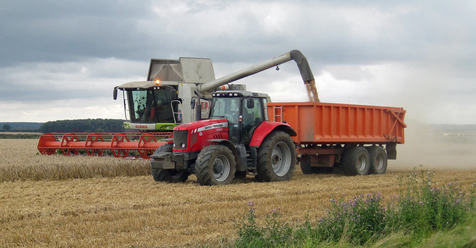 Combine harvesting a field