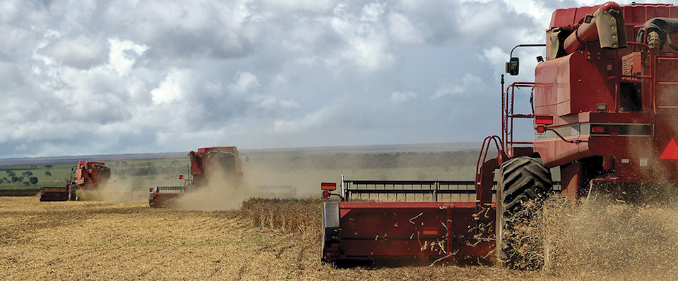 Red combine harvesters in the field.