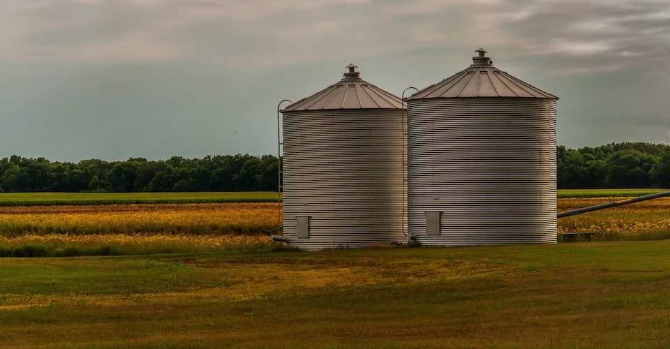 Two grain bins in a field