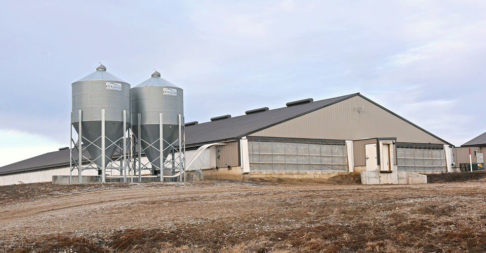 Greenhouse on a hill