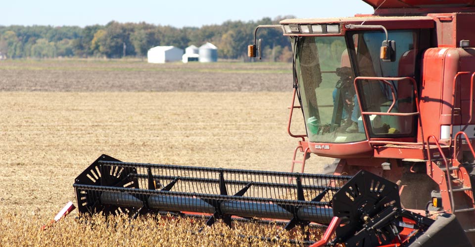 Harvesting a corn field on a combine