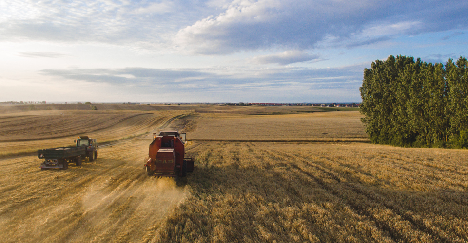 Harvesting a field