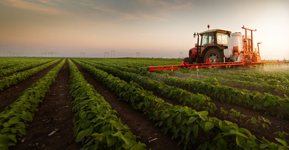 Sprayer spraying a soybean field
