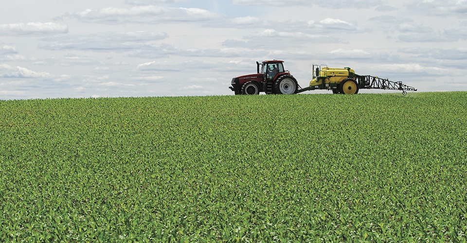 Tractor spraying a field