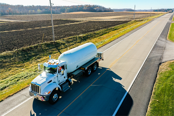 Bobtail 20201103_74 2_Ratio3-2